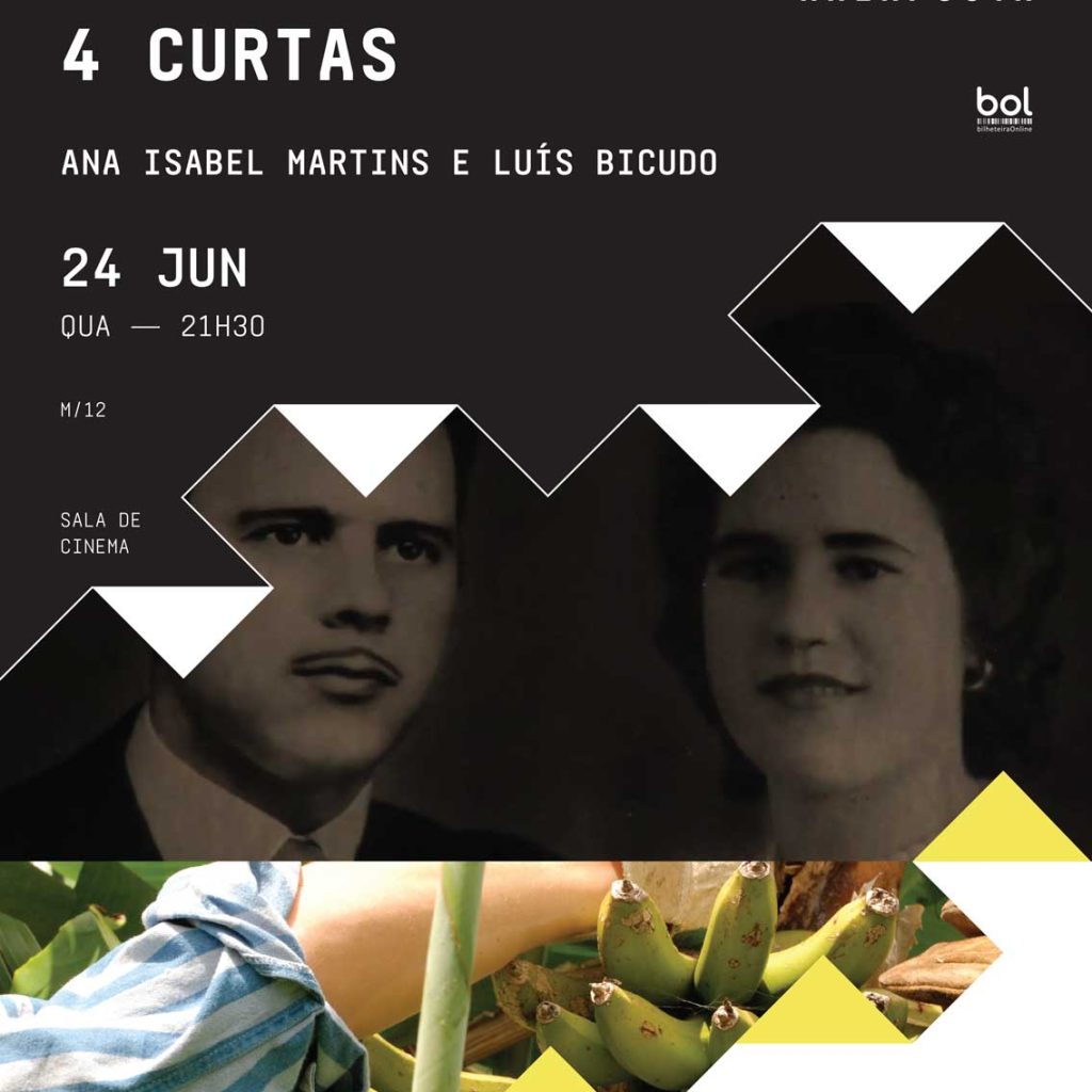 CICLO VIDAS: 4 CURTAS