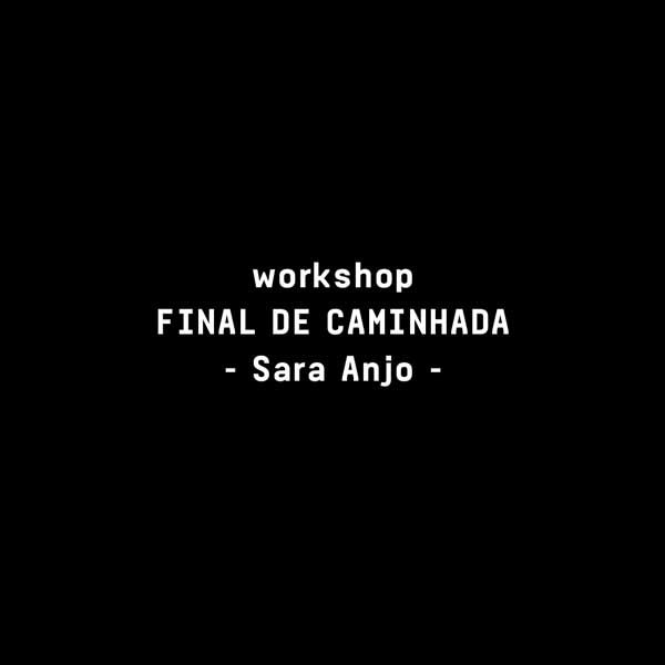 FINAL DE CAMINHADA E WORKSHOP