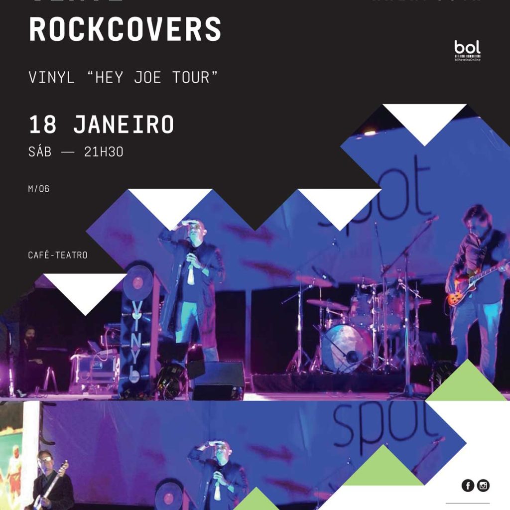 VYNIL ROCKCOVERS